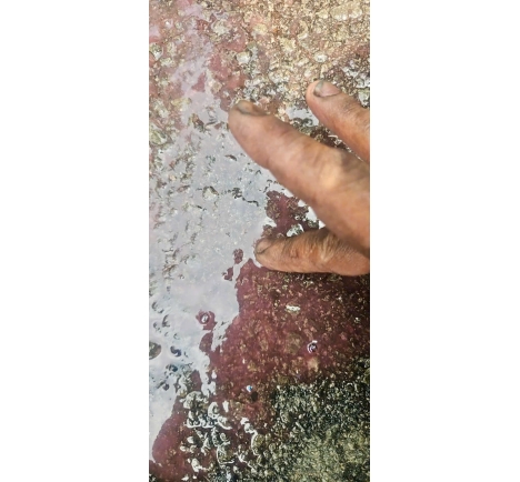 Thực Tế Cứu Hộ Ô Tô Khi Xe Gặp Sự Cố Trên Đường